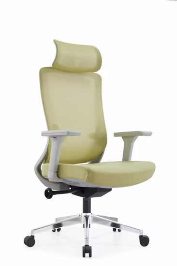 High Back Ergonomic Mesh Office Chair with Unique Design 3D Adjustable Headrest